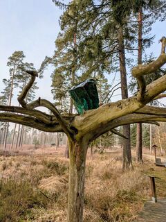 Photo de Hell-mood le long du parcours