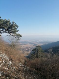 Photo de Dragoljub Ilic le long du parcours