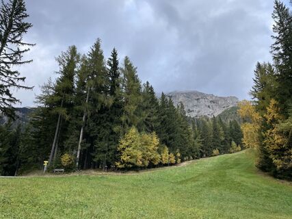 Photo de Pásztor Zoltán le long du parcours