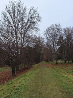 Foto de Mimi a lo largo del recorrido