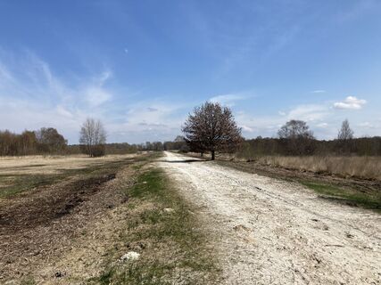 Oppenweher Moor
