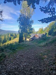 Photo de Daniel Kremiec le long du parcours