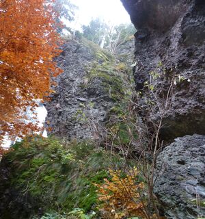 Fehrengrund