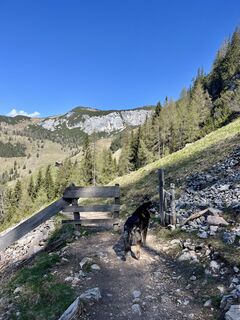 Foto von Veronika Schulte entlang der Tour
