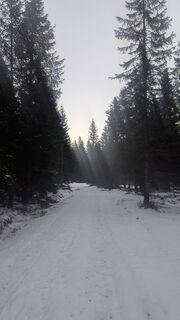 Photo de W.K. le long du parcours