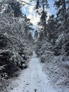 Foto von Thomas Pabst entlang der Tour