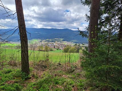Foto von Wanderbursche66 entlang der Tour