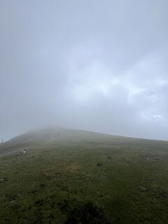 Photo de Luca le long du parcours