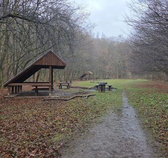 Foto de János Zsolt Mahr a lo largo del recorrido