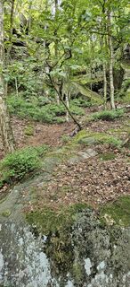 Fotografia z Andreas Henning na trase