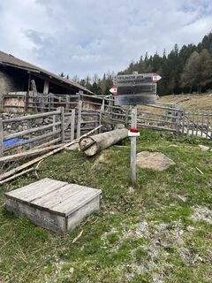 Foto da Peter Schäfer lungo il tour