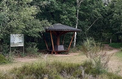 Picknick und Ruhepilz
