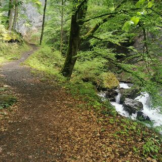 Weg zum Wasserfall am Berschnerbach entlang