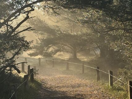 Zdjęcie z Martin Schubert wzdłuż trasy