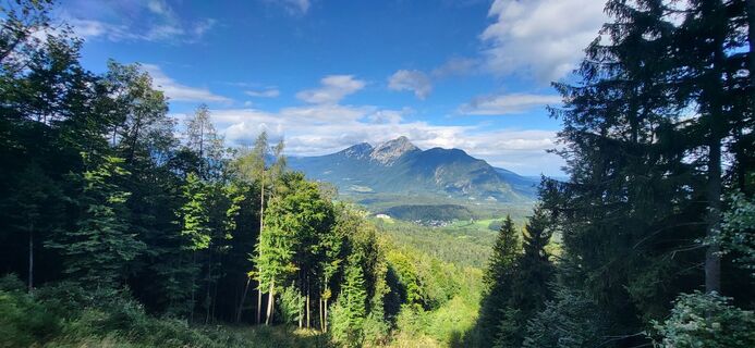 Fotografia z Maxi Kid na trase