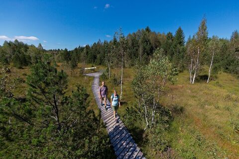 Moorlehrpfad Bad Bayersoien