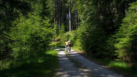 Biketour Triendlweg-Bauernwald