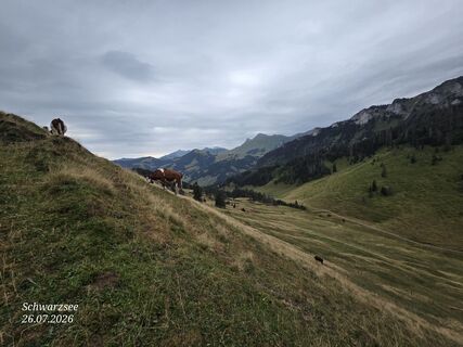 Fotografija s spletne strani Massimo Romano 2 na poti
