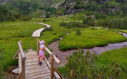 Stimmungsvolle kleine Brücke über das Torfmoor