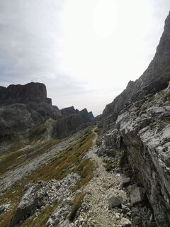 Fotografija s spletne strani Vida Burja na poti
