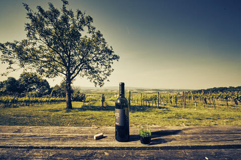 Hörstation Die drei Rieden, VIA.CARNUNTUM.