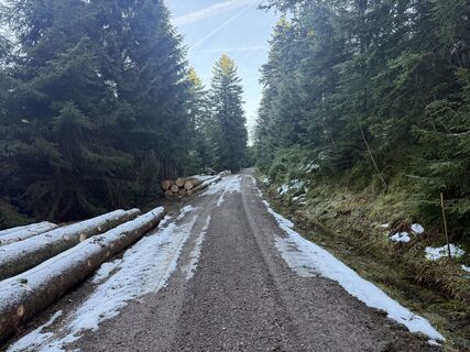 Photo de Nico Eisner le long du parcours