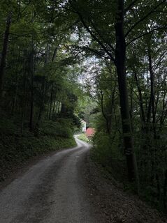 Foto von Yasaman Ebrahimi entlang der Tour
