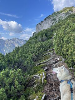 Photo de Franz Stumvoll le long du parcours
