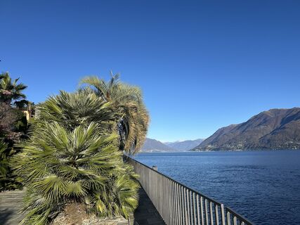 Foto de Theresarnold a lo largo del recorrido