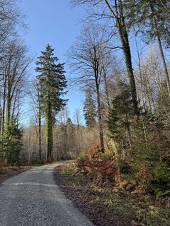 Foto von Denise Miller entlang der Tour