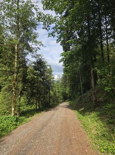 Foto von Nina Isele entlang der Tour