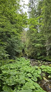 Foto fra Astrid L. underveis på turen