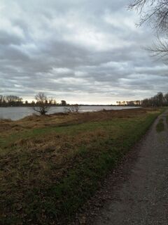 Fotografija s spletne strani Schaengemann na poti