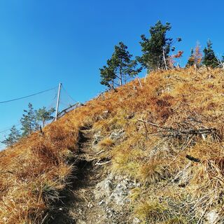 der Nebel lichtet sich....