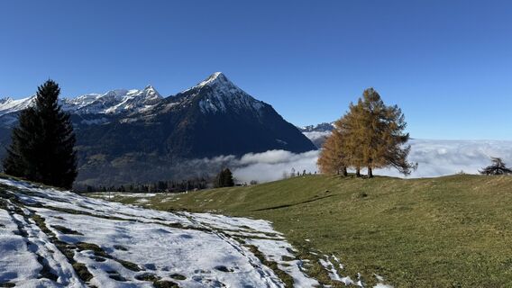 Foto von peter_oe entlang der Tour