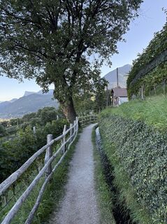 Fotografia z Thorsten Janotta na trase