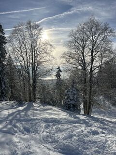 Foto von Rehane82 entlang der Tour