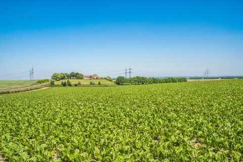 Landstrich Grevenbroich