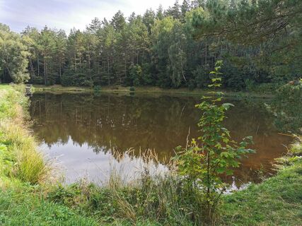 Photo de lydiak le long du parcours