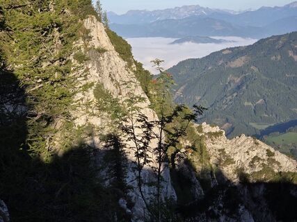 Photo from Zahrni78 along the tour