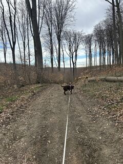 Fotografia z Car Wanderfreude na trase