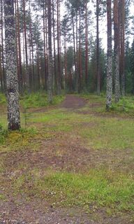 FLUSS KYYNÄRPÄÄNJOKI WANDERWEG