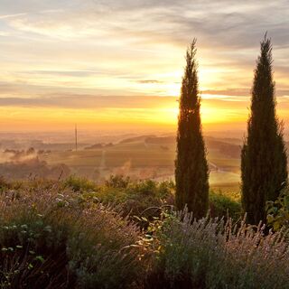 Sonnenaufgang bei Gleiszellen