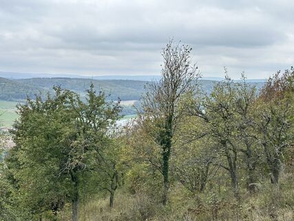 Foto de Norbert Herbig a lo largo del recorrido