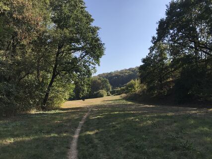 Karte