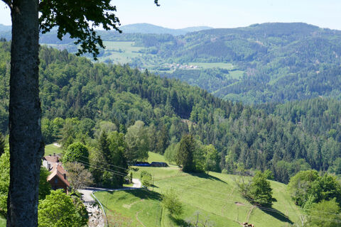 MTB-Tour 2 durchs Zeller Bergland