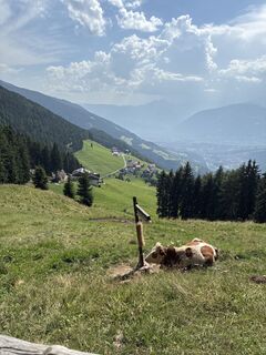 Photo de Andreas Salscheider le long du parcours