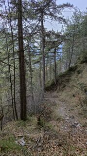 Fotografija s spletne strani Fabrizio Plesnizer na poti