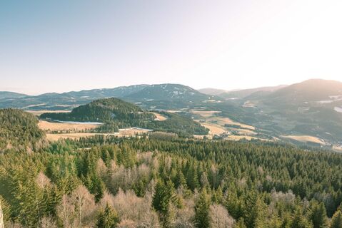 Aussicht vom Steinschloss