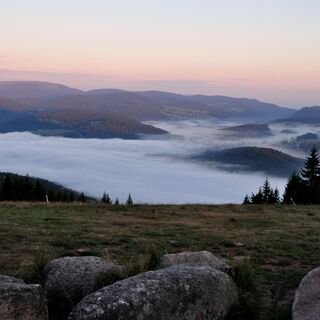 Blick vom Hochfirst zum Titisee und Feldberg im Nebel